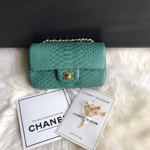 Chanel Mini Flap Bag Python Gold-Tone Metal A69900 zelená
