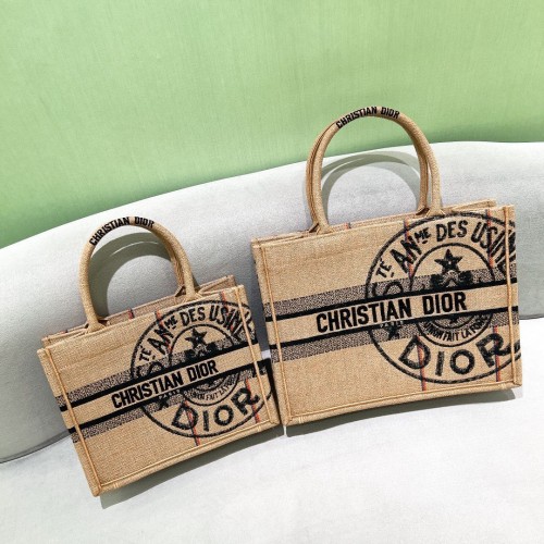 DIOR BOOK TOTE BAG DE JOUY M12965 Meruňka