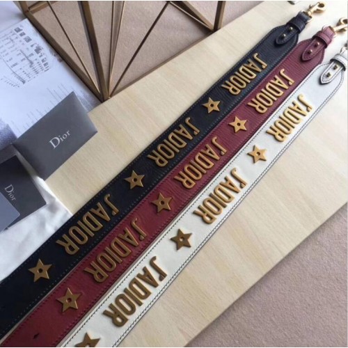 Ramenní popruh Dior DS1118