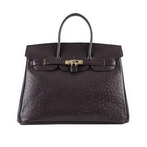 Hermes Birkin 35CM Tote Bags Tmavě Hnědá Pštrosí Kůže H6089 Zlatá
