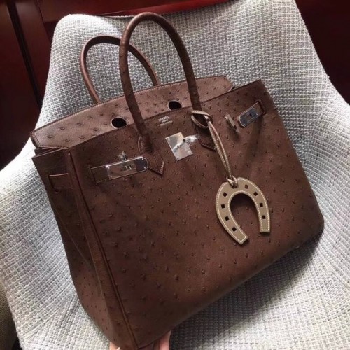 Hermes Pravá pštrosí kůže Birkin kabelka BK35 Čokolády