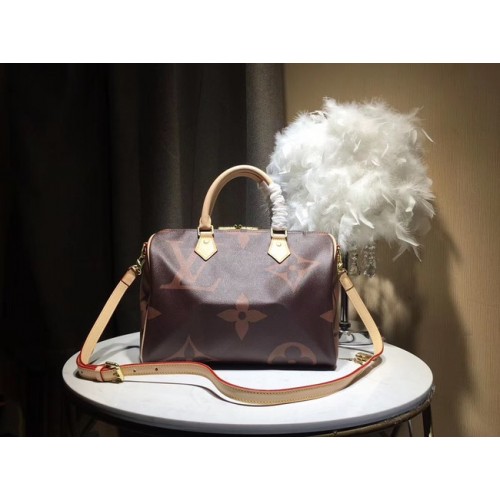 Kabelka Louis Vuitton SPEEDY 30 M41112