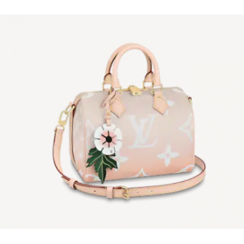 Louis Vuitton SPEEDY BANDOULIERE 25 M45722 Brume Grey