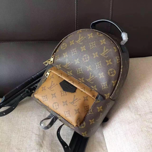 Louis Vuitton Monogram Canvas Palm Springs Batoh Mini M41562